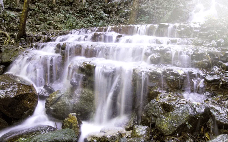 Validação em cascata com listas e matrizes dinâmicas capa